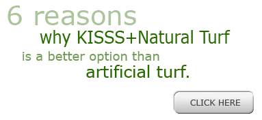 6 Reasons why KISSS + Natural Turf is a better option than artificial turf